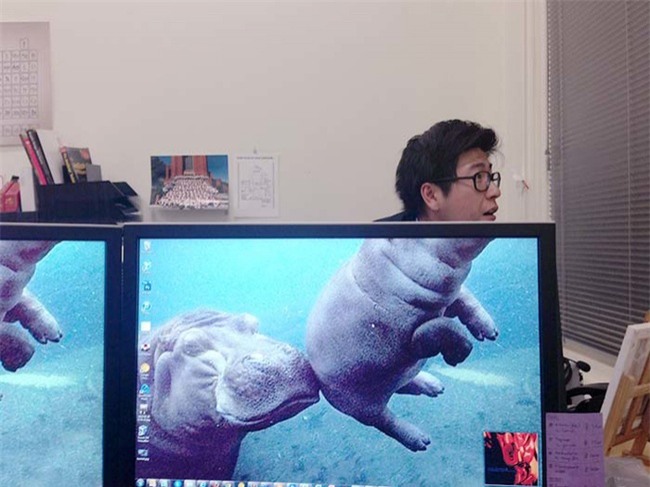 khi dan van phong "ranh roi sinh nong noi" hinh anh 12