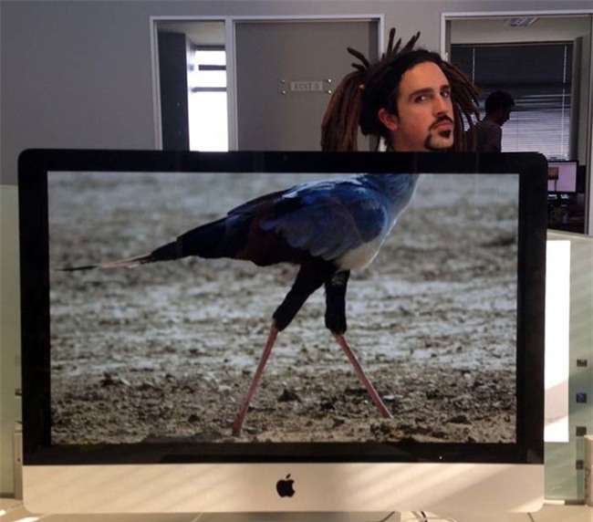 khi dan van phong "ranh roi sinh nong noi" hinh anh 13