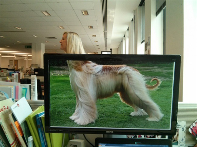 khi dan van phong "ranh roi sinh nong noi" hinh anh 14