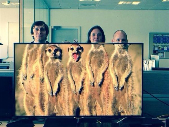 khi dan van phong "ranh roi sinh nong noi" hinh anh 15