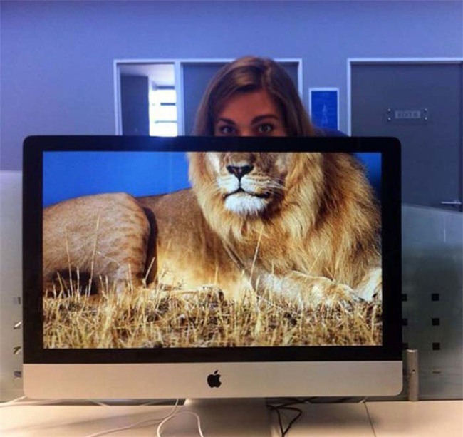 khi dan van phong "ranh roi sinh nong noi" hinh anh 2