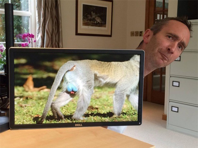 khi dan van phong "ranh roi sinh nong noi" hinh anh 3