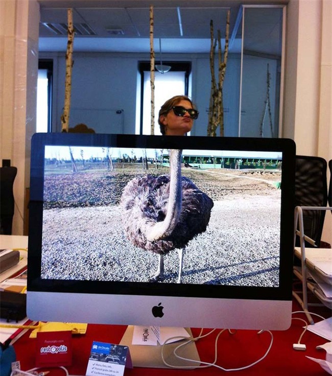 khi dan van phong "ranh roi sinh nong noi" hinh anh 5