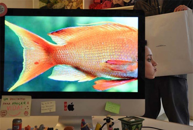 khi dan van phong "ranh roi sinh nong noi" hinh anh 8