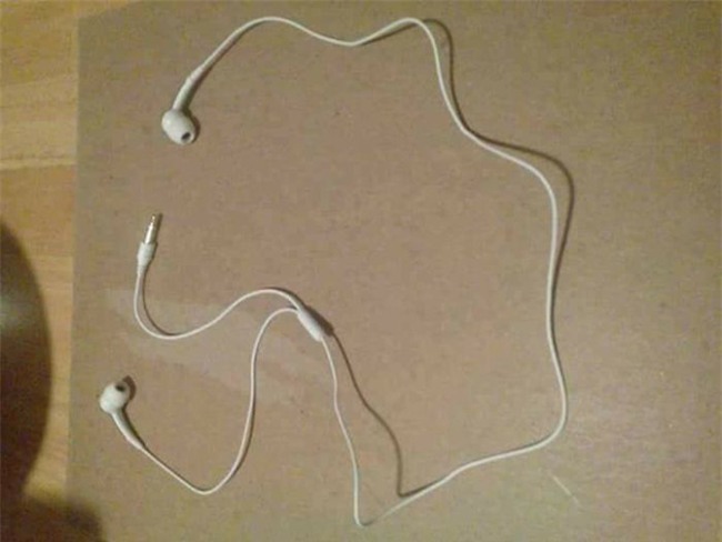 "cay dang" khi nhan hang dat mua qua mang hinh anh 4