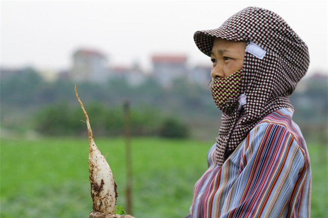Giai cuu cu cai: Thuong lai ban truoc, chot gia sau hinh anh 2