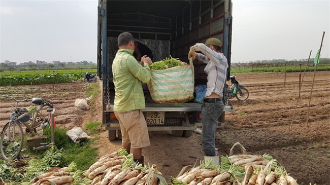 Giai cuu cu cai: Thuong lai ban truoc, chot gia sau hinh anh 3