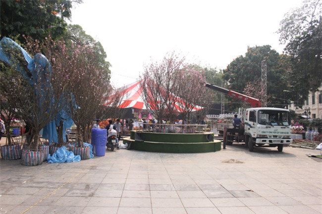 le hoi hoa anh dao 2018 truoc "gio g": hoanh trang hon nam ngoai hinh anh 1