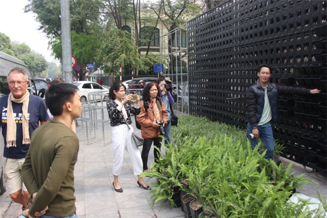 le hoi hoa anh dao 2018 truoc "gio g": hoanh trang hon nam ngoai hinh anh 12