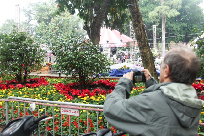 le hoi hoa anh dao 2018 truoc "gio g": hoanh trang hon nam ngoai hinh anh 13