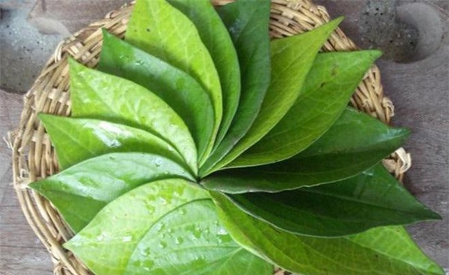 vo nat nam la trau khong dem dun theo cach nay, long "canh" se tu rung khong con 1 cong - 2