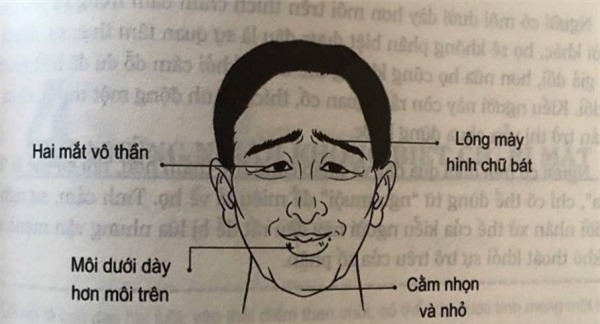 Nhân tướng học: 4 tướng mặt xấu của người đàn ông mà phụ nữ khôn ngoan tốt nhất đừng dây vào - Ảnh 3.