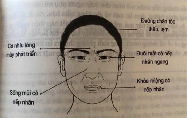 Nhân tướng học: 4 tướng mặt xấu của người đàn ông mà phụ nữ khôn ngoan tốt nhất đừng dây vào - Ảnh 4.