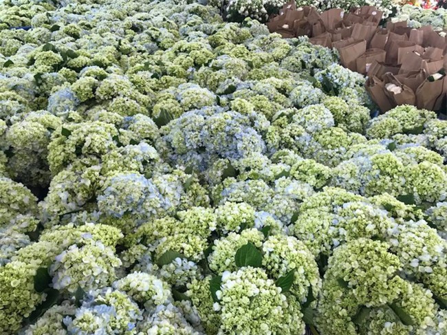 Đám cưới 2 tỷ đồng tại Quảng Ninh với sự góp mặt của nhiều ngôi sao nổi tiếng, mời 1000 khách khiến MXH ngất ngây - Ảnh 8.