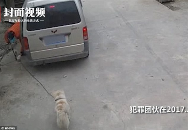 Hình ảnh bọn cẩu tặc ra tay bắt lấy chú chó Xiao Hei của gia đình ông Xie được camera ghi nhận lại.