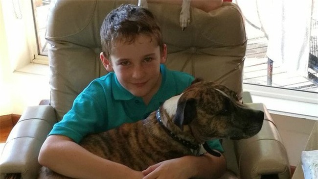 Con trai 10 tuổi qua đời, cha mẹ không chôn cất ngay mà quyết định làm một việc để con được sống thêm lần nữa - Ảnh 4.