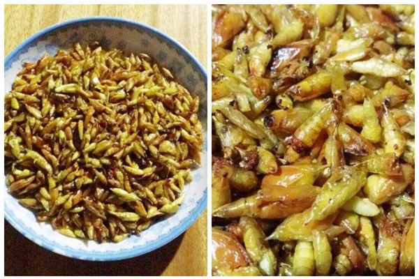 khoe mon an 30 nam moi dam thu, nguoi so "chet khiep", ke nho tuoi tho du doi - 3