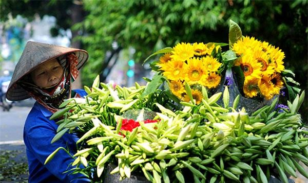 bat ngo truoc cong dung cua loai hoa loa ken dang duoc nhieu chi em chon trung trong nha - 1