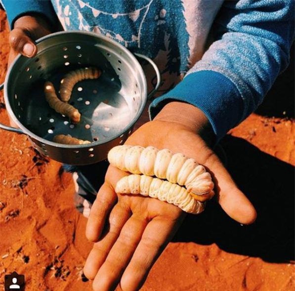 dac san sau nuong beo mup, to bang ca long ban tay thach thuc moi thuc khach - 4