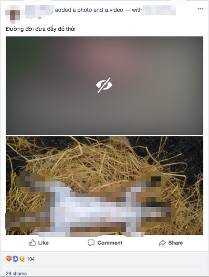 Nam thanh niên nhốt mèo vào lồng, dìm xuống ao cho đến chết rồi làm thịt gây phẫn nộ - Ảnh 1.