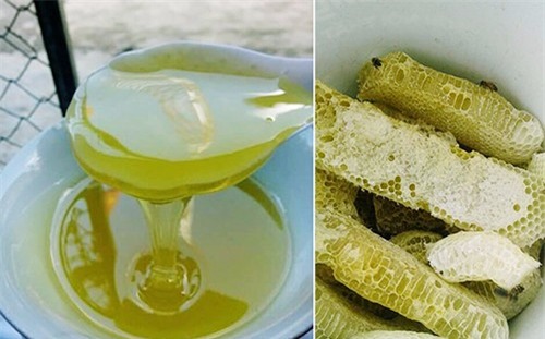 Mật và sáp ong hoa bạc hà. Ảnh: matongtaynguyen