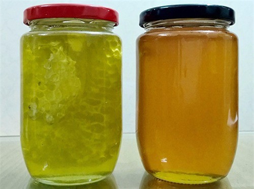 Mật ong hoa bạc hà có màu xanh nhạt khác hoàn toàn các loại mật thông thường có màu vàng cam. Ảnh: matongtaynguyen