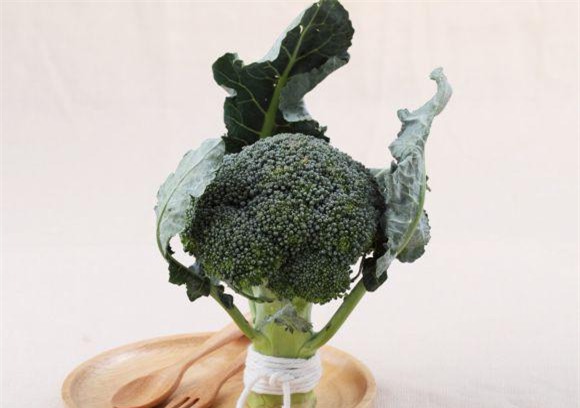 ai cung tiec "dut ruot" khi biet loi ich cua 6 thu thuong bi nem sot rac trong rau qua - 4