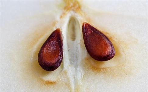 10 loai thuc pham quen mat co kha nang gay hai cho co the neu khong biet su dung - 10