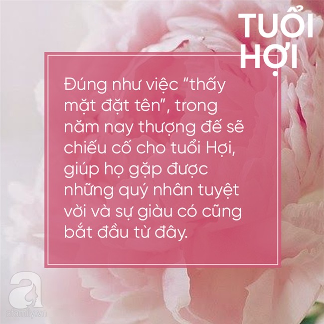 Năm nay có quý nhân bên cạnh, 3 con giáp này nhất định thăng quan tiến chức, tiền trong ngân hàng tăng thêm vài số - Ảnh 1.