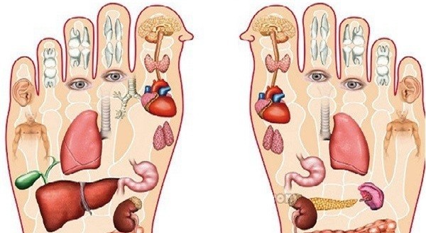 3 đặc điểm trên bàn chân mật báo những căn bệnh tiềm ẩn, đừng để bệnh nặng bạn mới biết - Ảnh 1.