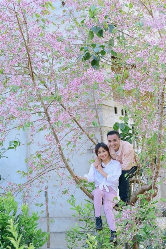 Nguyễn Hoàng Linh , BTV Nguyễn Hoàng Linh và bạn trai, sao Việt