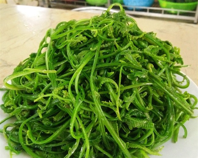 5 loại rau núi rừng là đặc sản được người thành phố săn lùng - Ảnh 10.