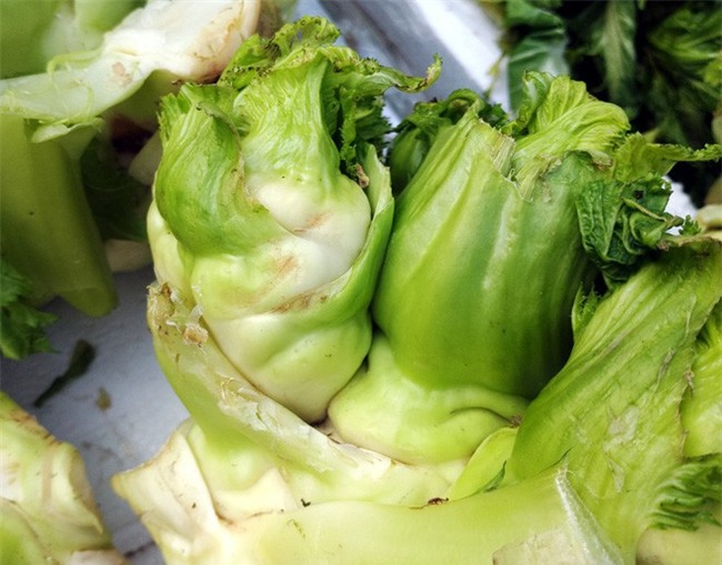 5 loại rau núi rừng là đặc sản được người thành phố săn lùng - Ảnh 2.