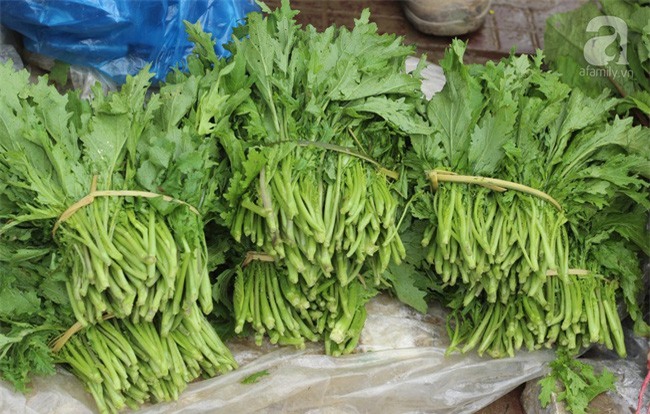 5 loại rau núi rừng là đặc sản được người thành phố săn lùng - Ảnh 6.