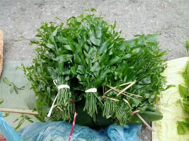 5 loại rau núi rừng là đặc sản được người thành phố săn lùng - Ảnh 8.