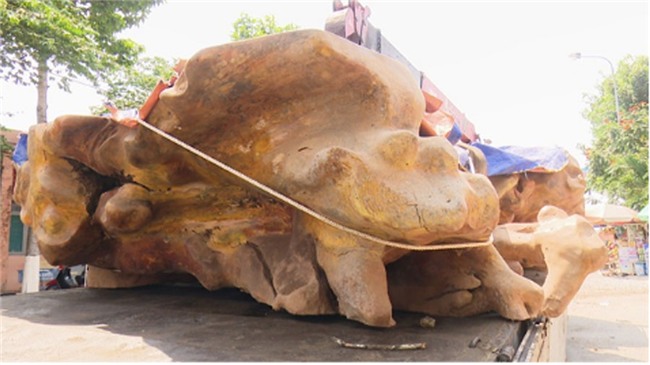 sâm quý,nhân sâm,gà quý,vé máy bay,giá xe máy,ô tô nhập khẩu,cây cảnh,Thương lái Trung Quốc