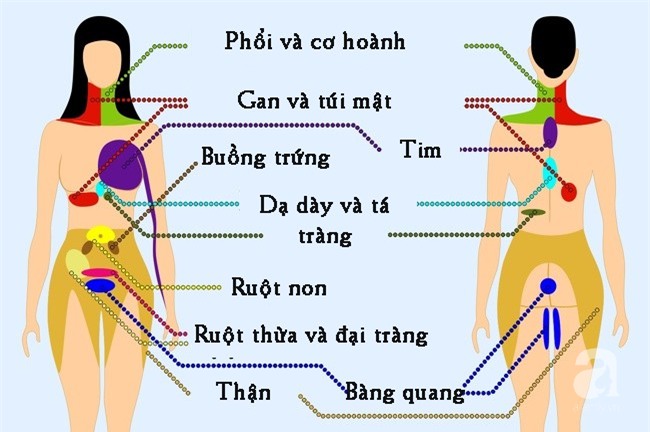 Chuyên gia khuyên 9 vị trí nếu thấy đau thì bạn nên cẩn trọng và đi khám càng sớm càng tốt-1