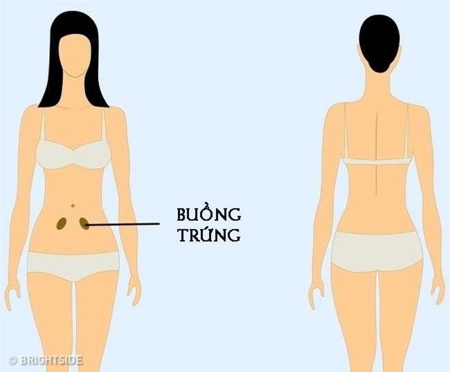 Chuyên gia khuyên 9 vị trí nếu thấy đau thì bạn nên cẩn trọng và đi khám càng sớm càng tốt-10