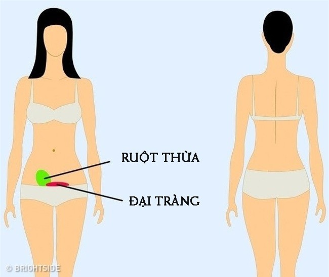 Chuyên gia khuyên 9 vị trí nếu thấy đau thì bạn nên cẩn trọng và đi khám càng sớm càng tốt-7