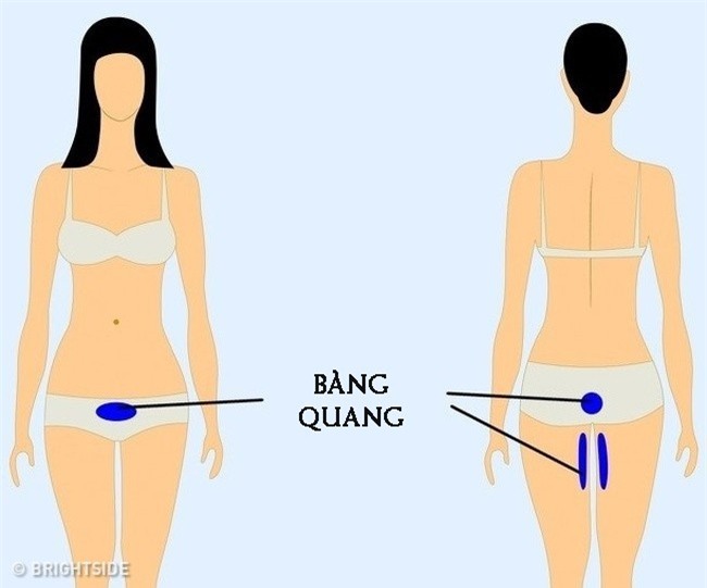 Chuyên gia khuyên 9 vị trí nếu thấy đau thì bạn nên cẩn trọng và đi khám càng sớm càng tốt-9