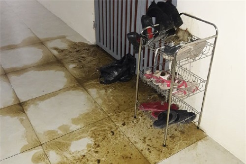 Nữ phóng viên bị “khủng bố” bằng phân bò trước cửa phòng - Ảnh 1.