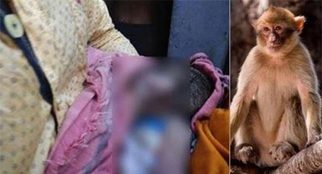 bi khi bat coc khi dang ngu canh me, be 16 ngay tuoi chet thuong tam duoi gieng sau - 1