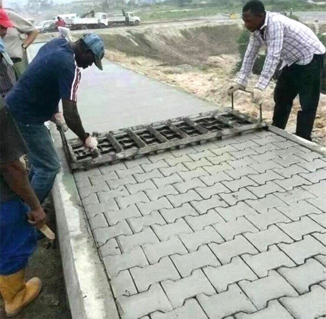 khong the tin duoc su sang tao "vo doi" cua loai nguoi hinh anh 1