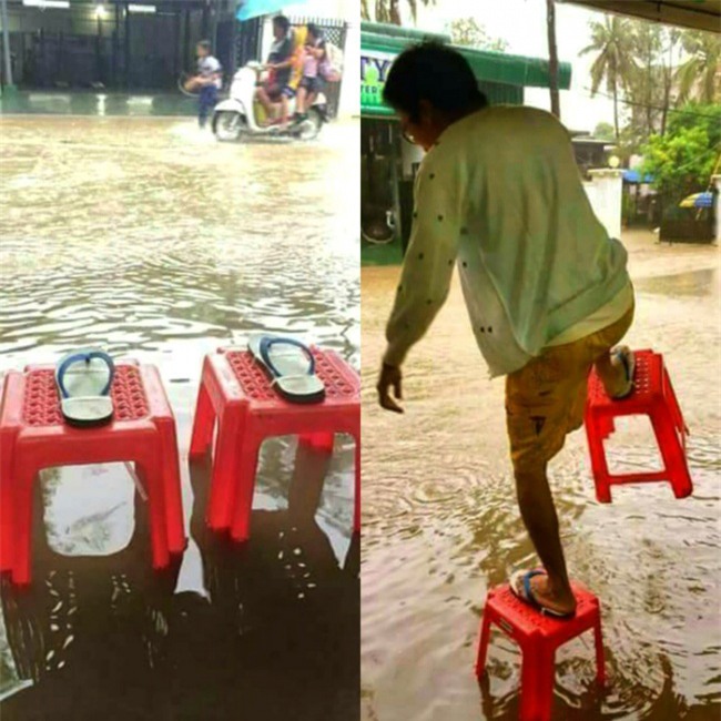 khong the tin duoc su sang tao &quot;vo doi&quot; cua loai nguoi hinh anh 2