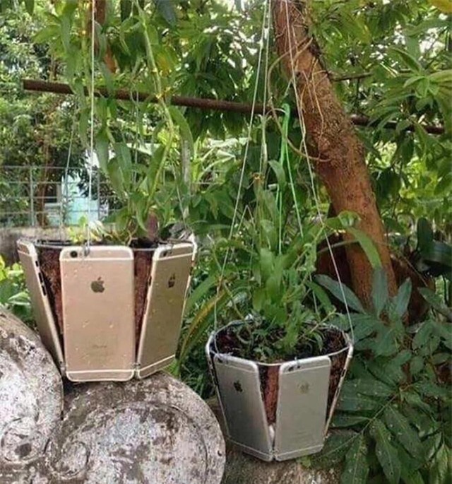 Một tá iPhone mới cứng được ghép thành chậu để trồng cây cảnh.