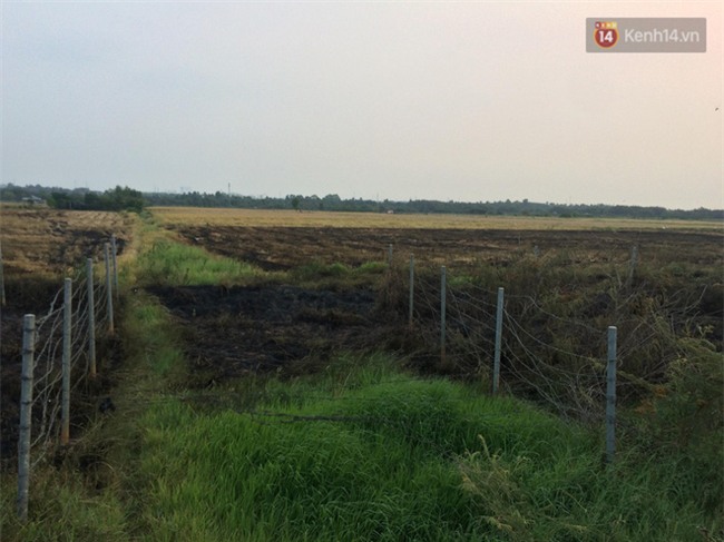 Chùm ảnh: Hiện trường vụ tai nạn liên hoàn trên cao tốc Long Thành - Dầu Giây vì khói rơm rạ mù mịt tấn công - Ảnh 14.