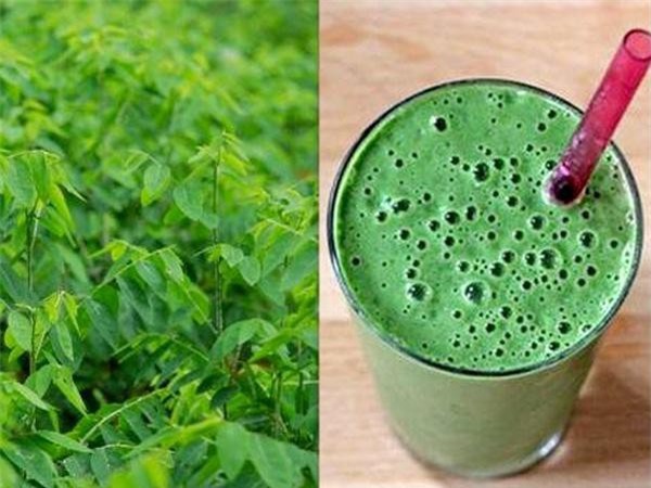 Chuyên gia đông y chỉ ra một loạt bài thuốc chữa bệnh từ rau ngót cực hay cực dễ áp dụng-4