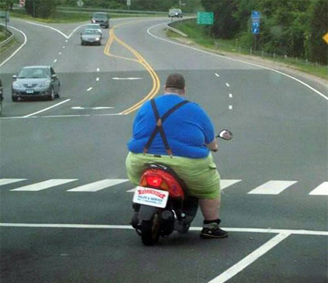 bo anh chung minh nguoi beo luc nao cung luon hanh phuc hinh anh 1