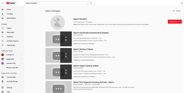 Hung thủ trong vụ xả súng tại trụ sở YouTube là một nữ YouTuber bất mãn với chính sách quảng cáo - Ảnh 4.