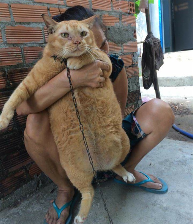 nhung hinh anh hot nhat mang xa hoi hinh anh 5